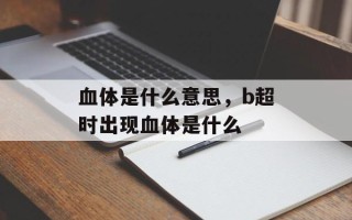 血体是什么意思，b超时出现血体是什么