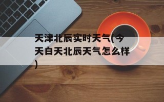 天津北辰实时天气(今天白天北辰天气怎么样)