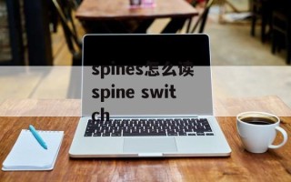spines怎么读 spine switch