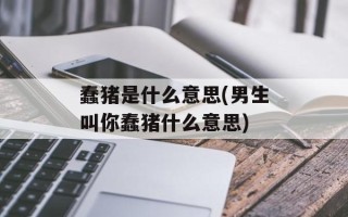 蠢猪是什么意思(男生叫你蠢猪什么意思)
