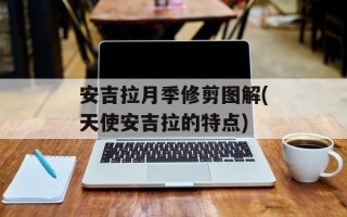 安吉拉月季修剪图解(天使安吉拉的特点)