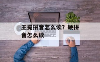王冕拼音怎么读？硬拼音怎么读