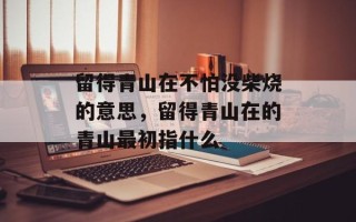 留得青山在不怕没柴烧的意思，留得青山在的青山最初指什么