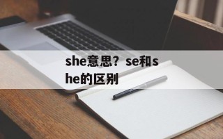 she意思？se和she的区别