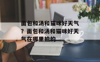 面包和汤和猫咪好天气？面包和汤和猫咪好天气在哪里拍的