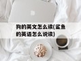 狗的英文怎么读(鲨鱼的英语怎么说读)