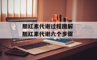 胆红素代谢过程图解 胆红素代谢六个步骤
