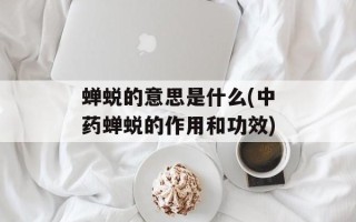 蝉蜕的意思是什么(中药蝉蜕的作用和功效)