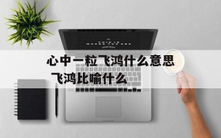 心中一粒飞鸿什么意思 飞鸿比喻什么