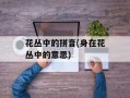 花丛中的拼音(身在花丛中的意思)
