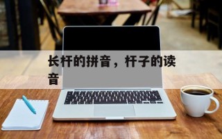 长杆的拼音，杆子的读音