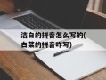 洁白的拼音怎么写的(白菜的拼音咋写)