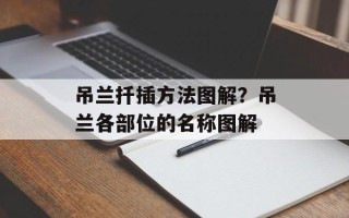 吊兰扦插方法图解？吊兰各部位的名称图解
