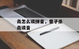 彘怎么读拼音，曾子杀彘读音
