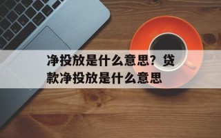 净投放是什么意思？贷款净投放是什么意思