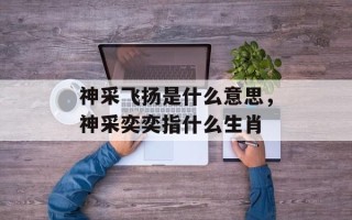 神采飞扬是什么意思，神采奕奕指什么生肖