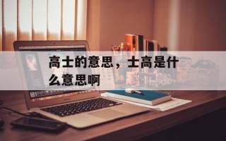 高士的意思，士高是什么意思啊