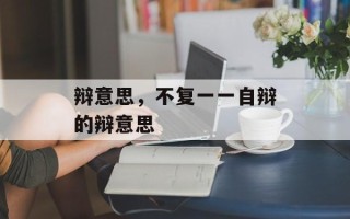 辩意思，不复一一自辩的辩意思