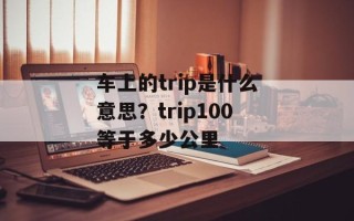 车上的trip是什么意思？trip100等于多少公里