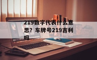 219数字代表什么意思？车牌号219吉利吗