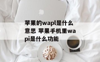 苹果的wapl是什么意思 苹果手机里wapi是什么功能