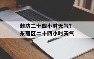 潍坊二十四小时天气？东丽区二十四小时天气