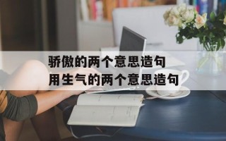 骄傲的两个意思造句 用生气的两个意思造句