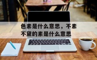 色素是什么意思，不素不黛的素是什么意思