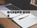 骑马拼音声调 骑马拼音