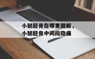 小腿胫骨在哪里图解，小腿胫骨中间段隐痛