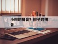 小辫的拼音？辫子的拼音