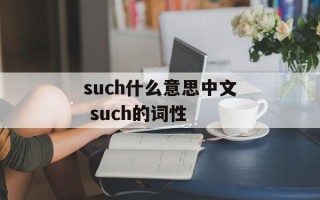 such什么意思中文 such的词性