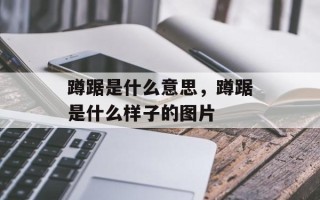 蹲踞是什么意思，蹲踞是什么样子的图片