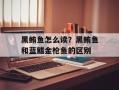 黑鲔鱼怎么读？黑鲔鱼和蓝鳍金枪鱼的区别