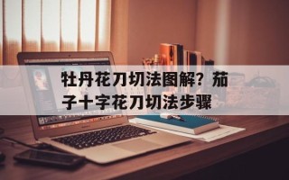 牡丹花刀切法图解？茄子十字花刀切法步骤