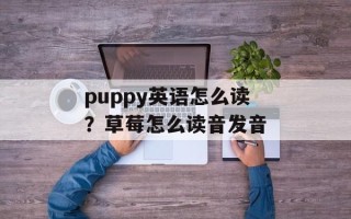 puppy英语怎么读？草莓怎么读音发音