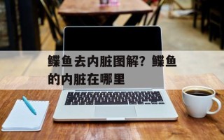 鲽鱼去内脏图解？鲽鱼的内脏在哪里