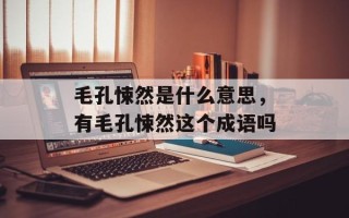 毛孔悚然是什么意思，有毛孔悚然这个成语吗
