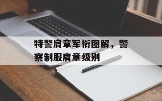 特警肩章军衔图解，警察制服肩章级别