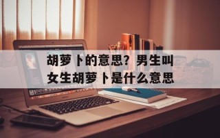 胡萝卜的意思？男生叫女生胡萝卜是什么意思