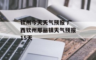 钦州今天天气预报 广西钦州那丽镇天气预报15天