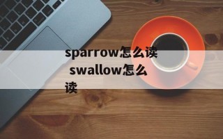 sparrow怎么读 swallow怎么读