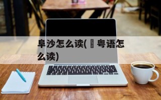 阜沙怎么读(輋粤语怎么读)