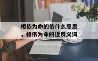 相依为命的依什么意思，相依为命的近反义词
