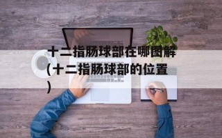 十二指肠球部在哪图解(十二指肠球部的位置)