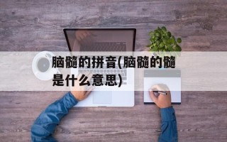脑髓的拼音(脑髓的髓是什么意思)