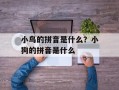 小鸟的拼音是什么？小狗的拼音是什么