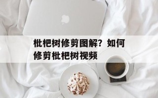 枇杷树修剪图解？如何修剪枇杷树视频