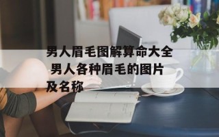 男人眉毛图解算命大全 男人各种眉毛的图片及名称