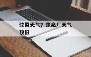 驼梁天气？跑泉厂天气预报